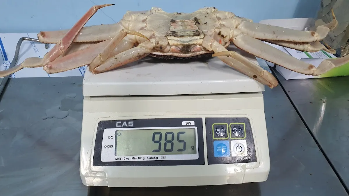 강릉동부시장 사진 4