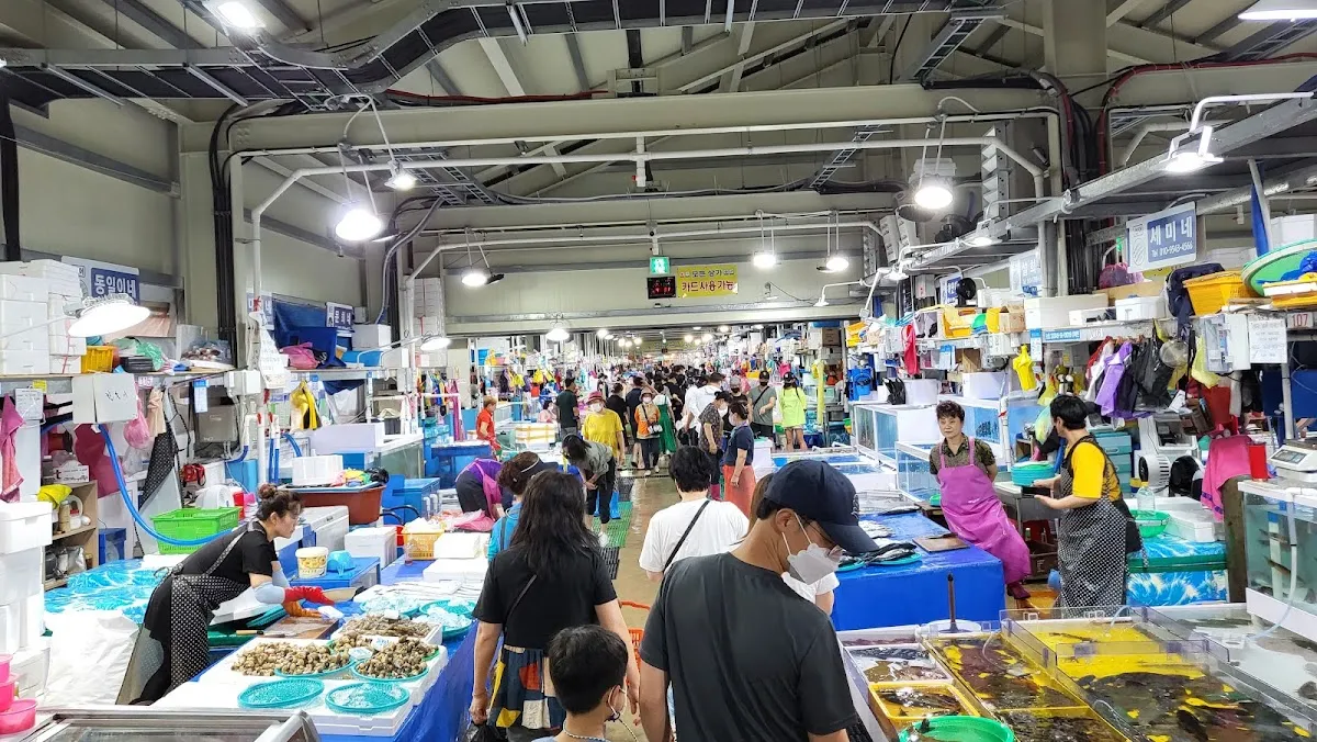 주문진수산시장 사진 2