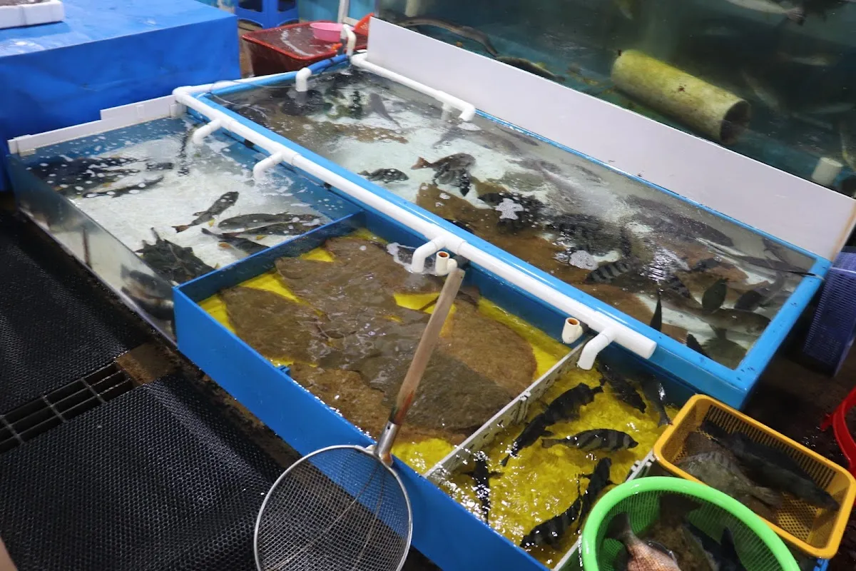 주문진좌판풍물시장 사진 4