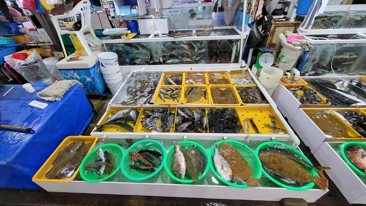 주문진좌판풍물시장 사진 5