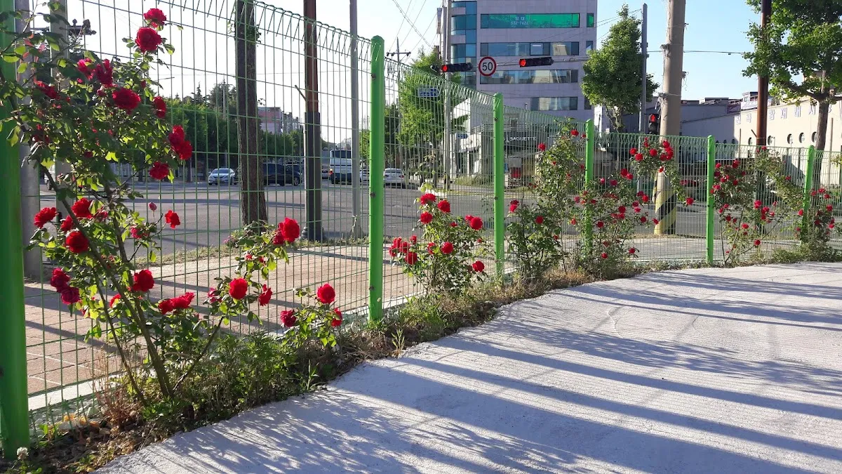 동해남부재래시장 사진 3