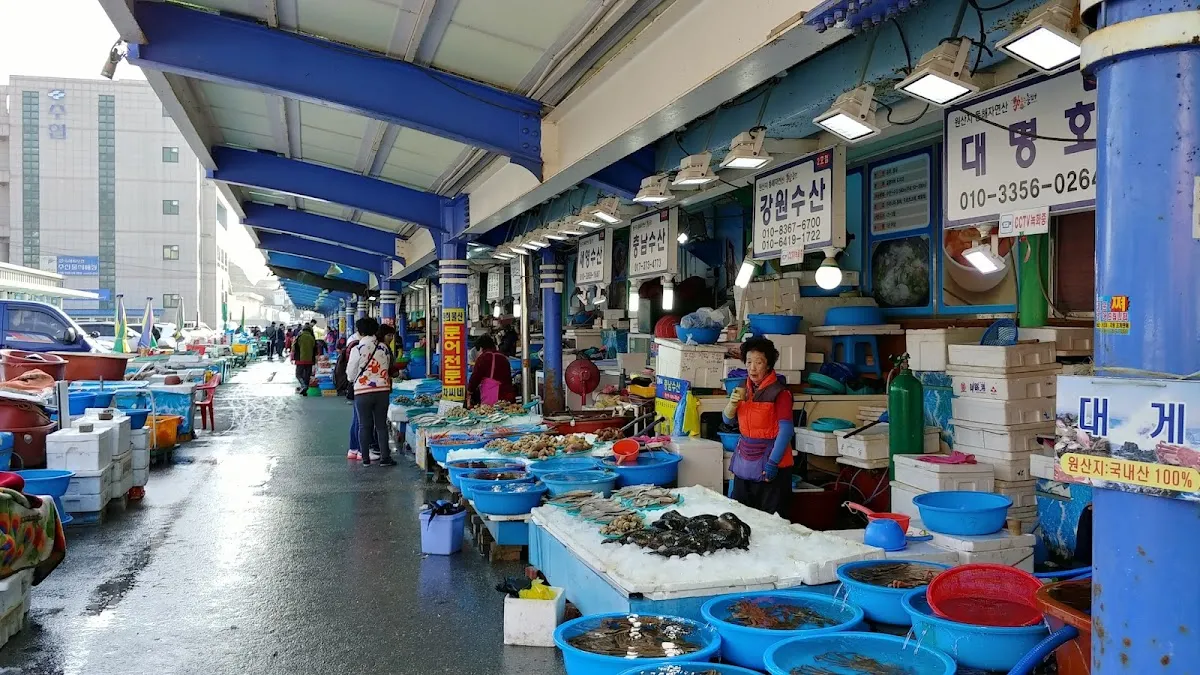 묵호항 자연산 수산물 판매시장 사진 2