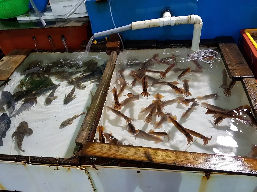 묵호항 자연산 수산물 판매시장 사진 3