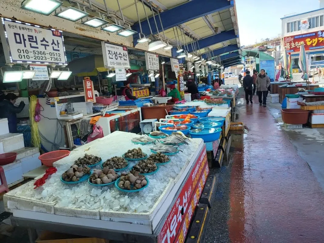 묵호항 자연산 수산물 판매시장 사진 4