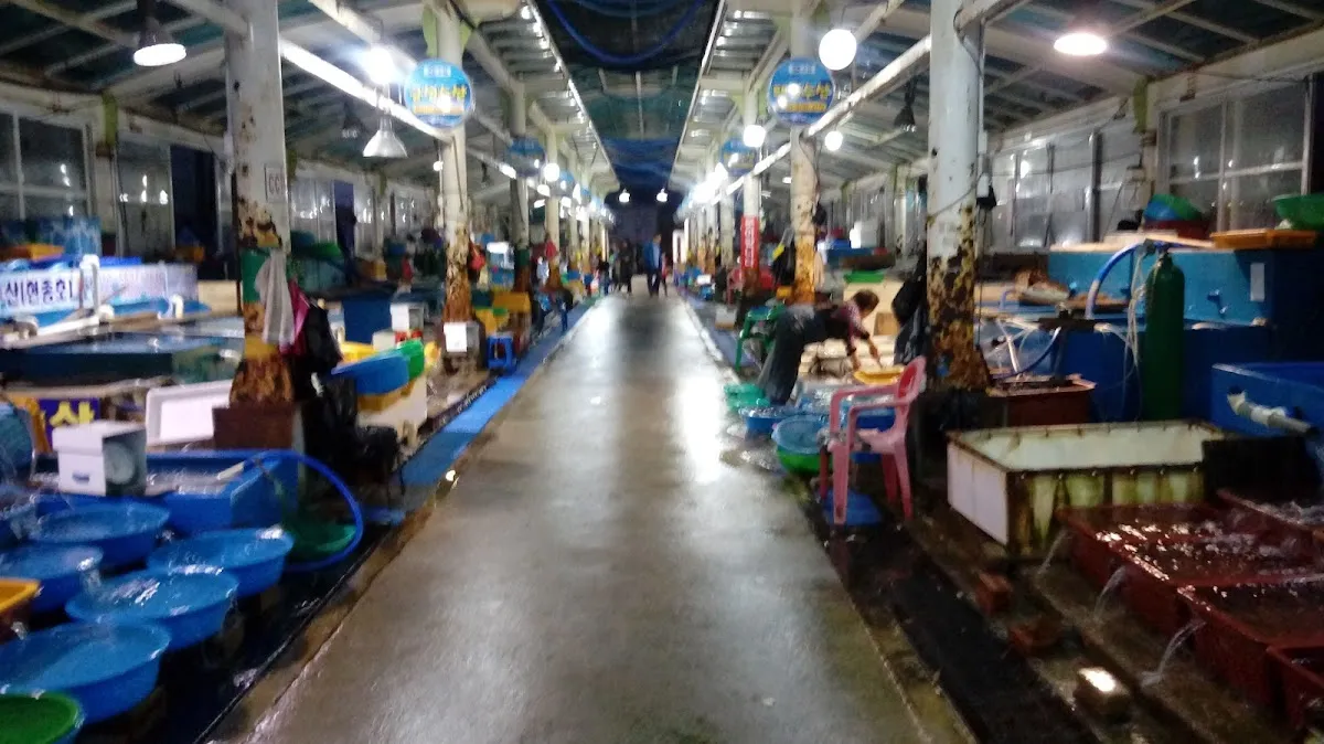 묵호항 자연산 수산물 판매시장 사진 5