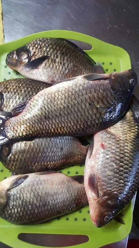 도계전두시장 사진 3