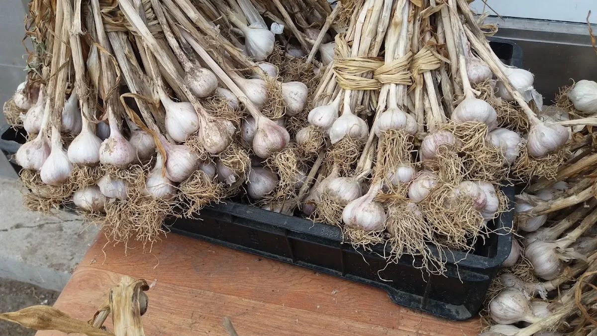 문막시장 사진 3