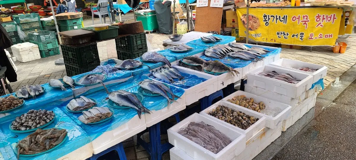 춘천풍물시장 사진 4