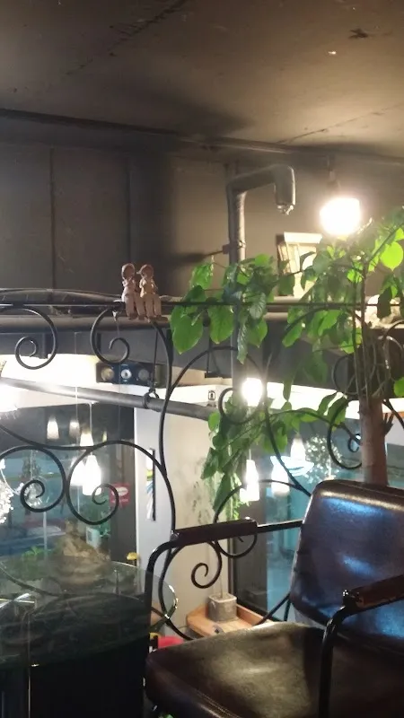 제일쇼핑시장 사진 4