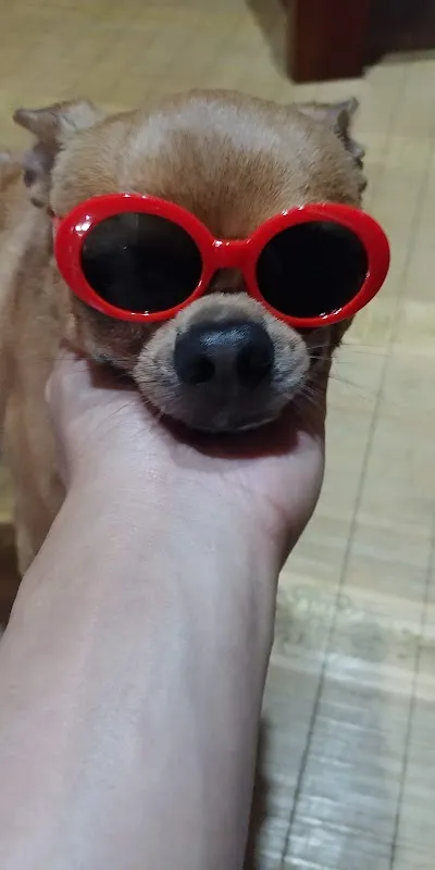 소사종합시장 사진 4