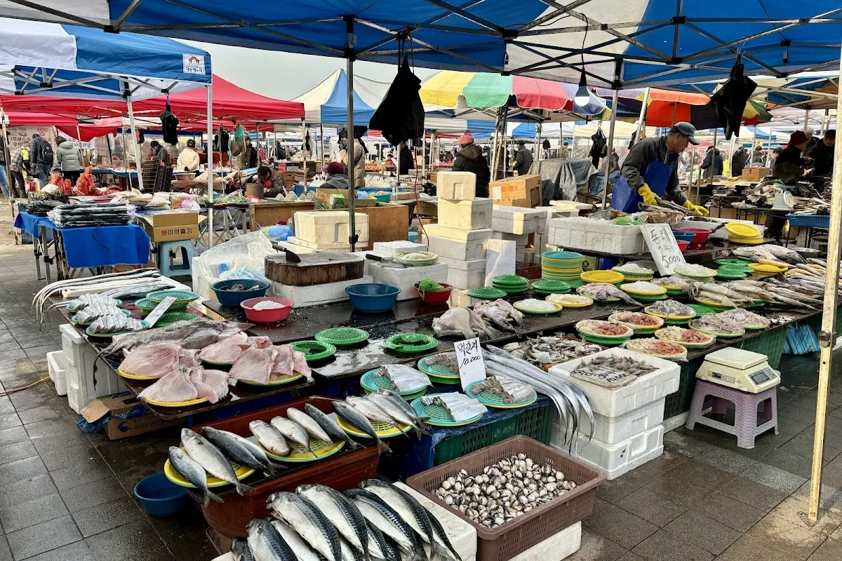 모란가축시장 사진 5