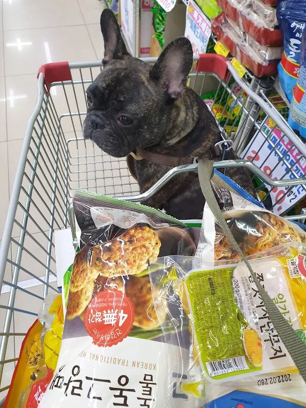 현대시장 사진 2