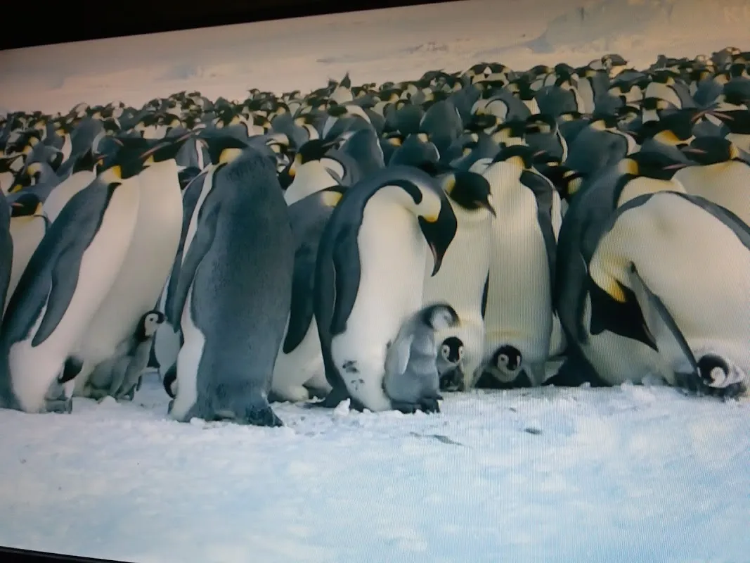 현대프라자시장 전경