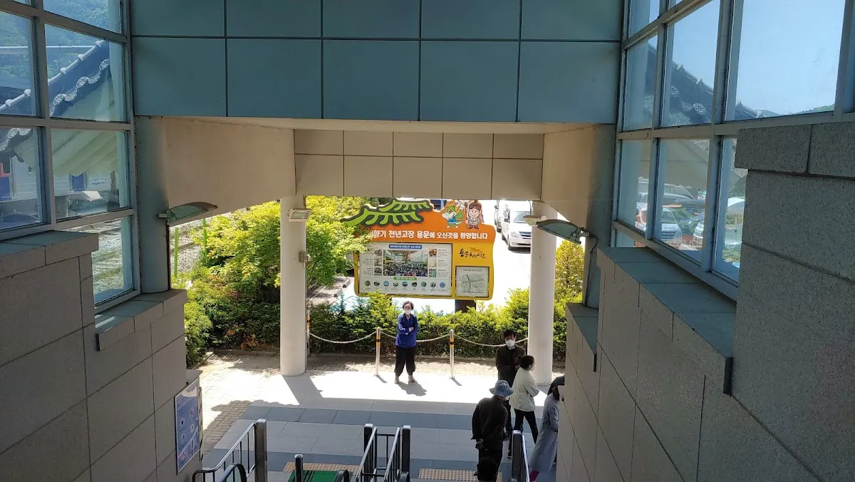 용문천년시장 전경