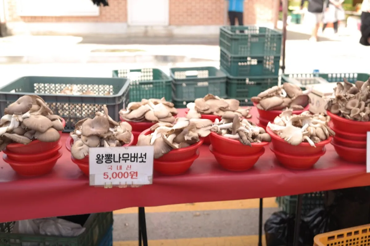 용문천년시장 사진 5