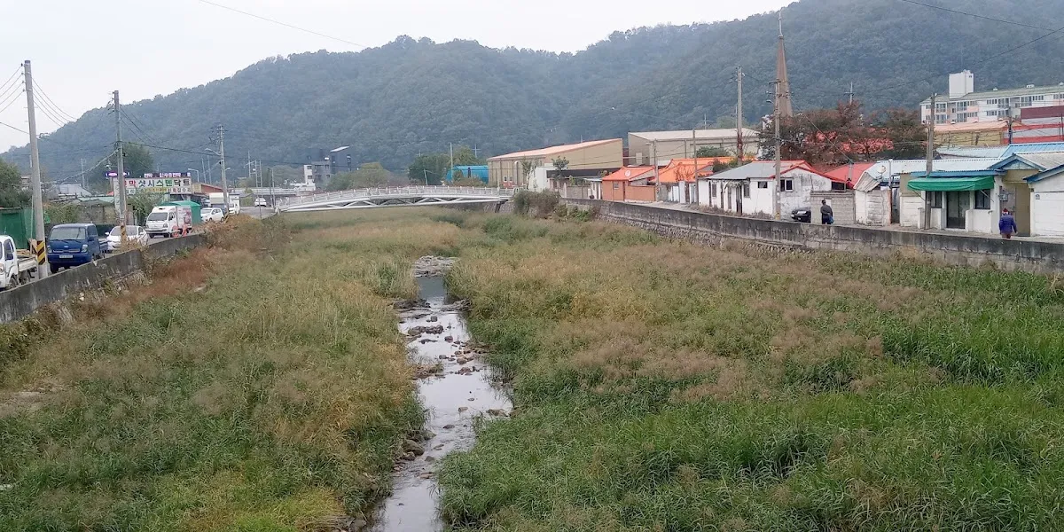 적성전통시장 사진 4