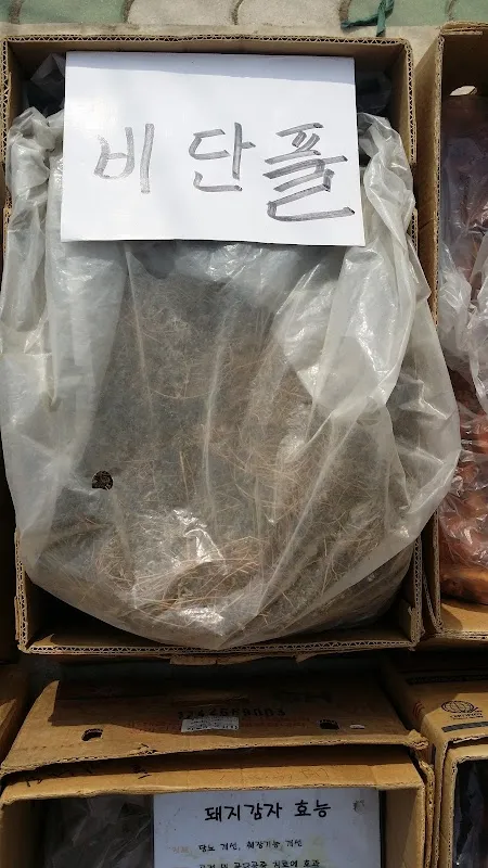 무안시장(무안임시시장) 사진 5