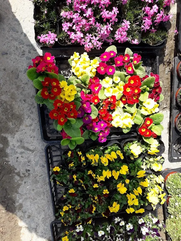 수산시장 사진 2