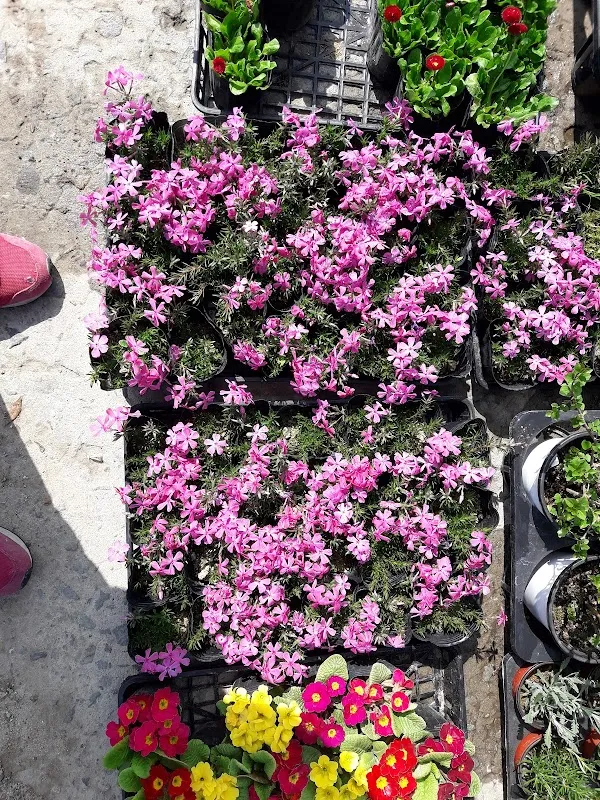 수산시장 사진 3