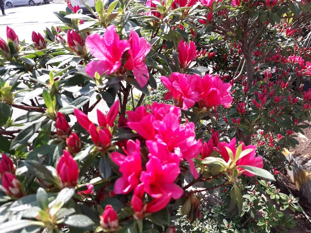 수산시장 사진 4