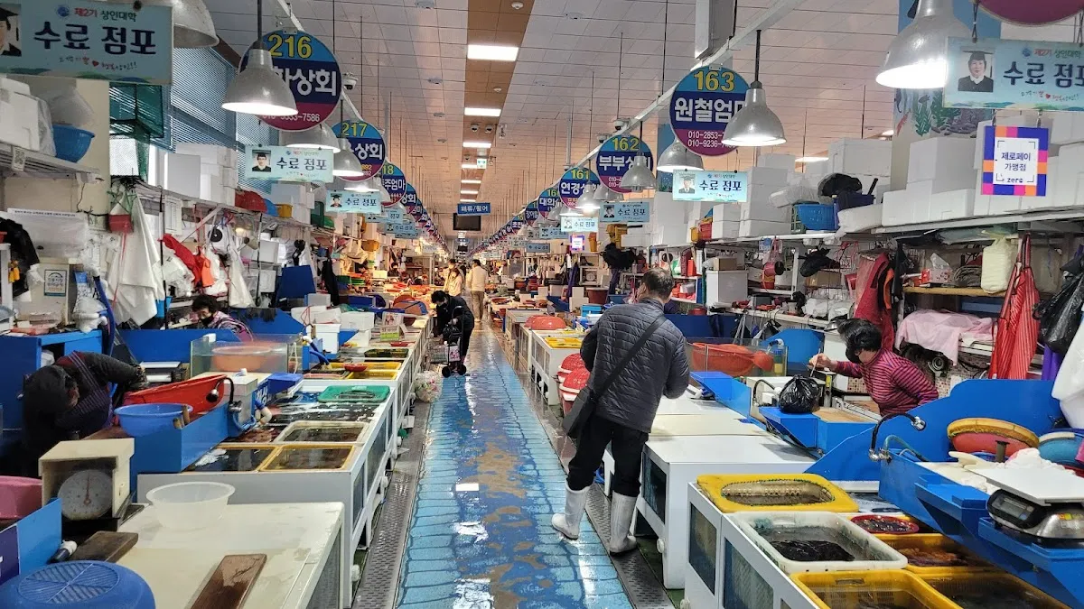 삼천포용궁수산시장 사진 5