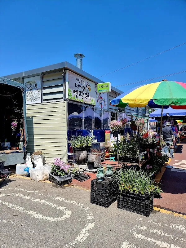 완사시장 사진 3