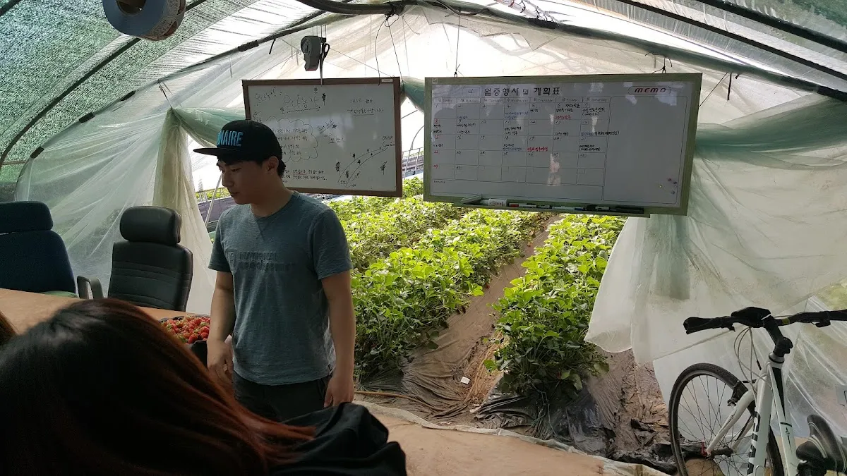 단성시장 사진 4