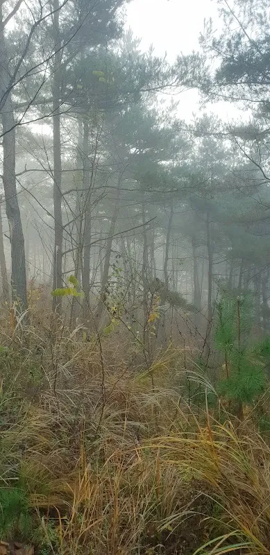 생초시장 사진 3