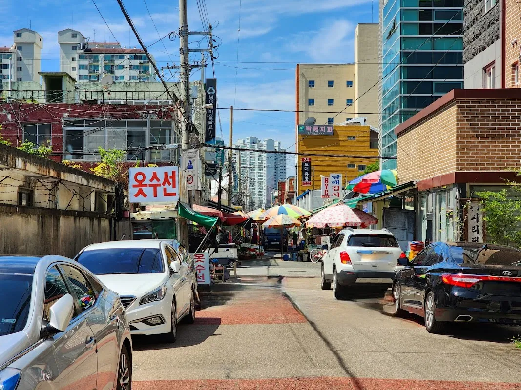 천전시장 사진 4