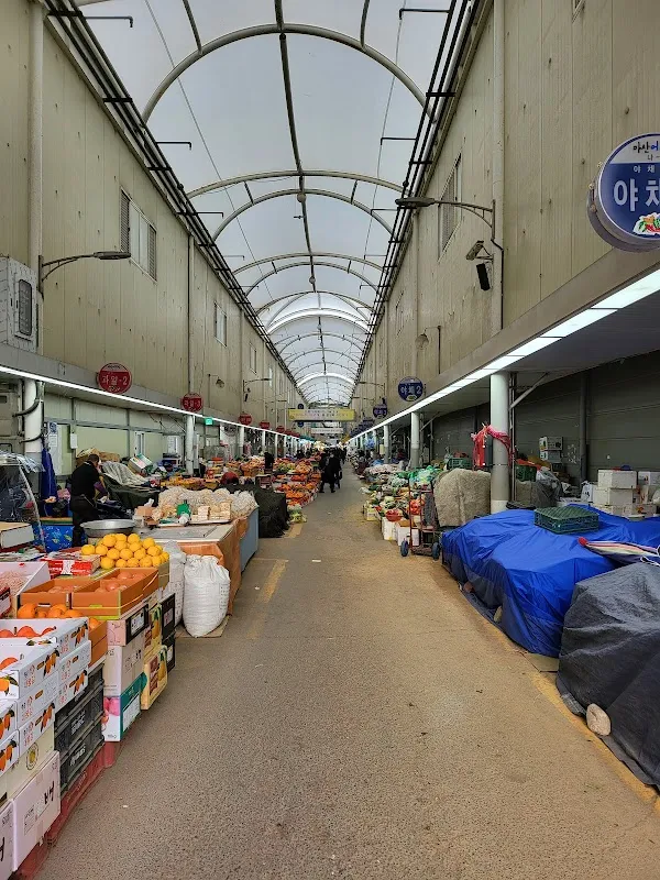 마산수산시장 사진 5