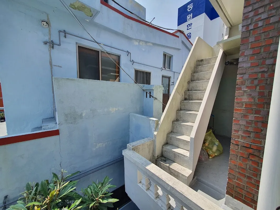 산호시장 사진 4