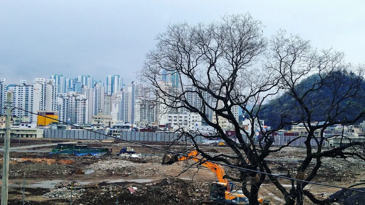 서마산시장 사진 5