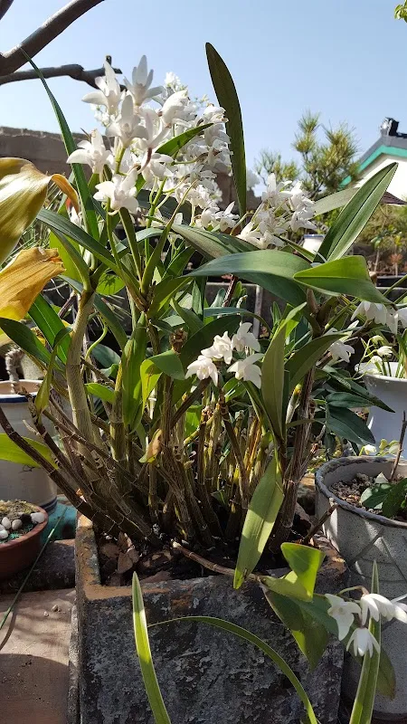 웅천시장 사진 3