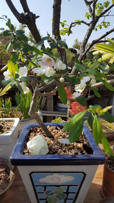 웅천시장 사진 4