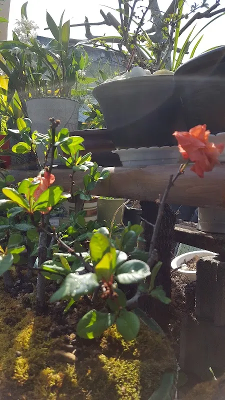 웅천시장 사진 5