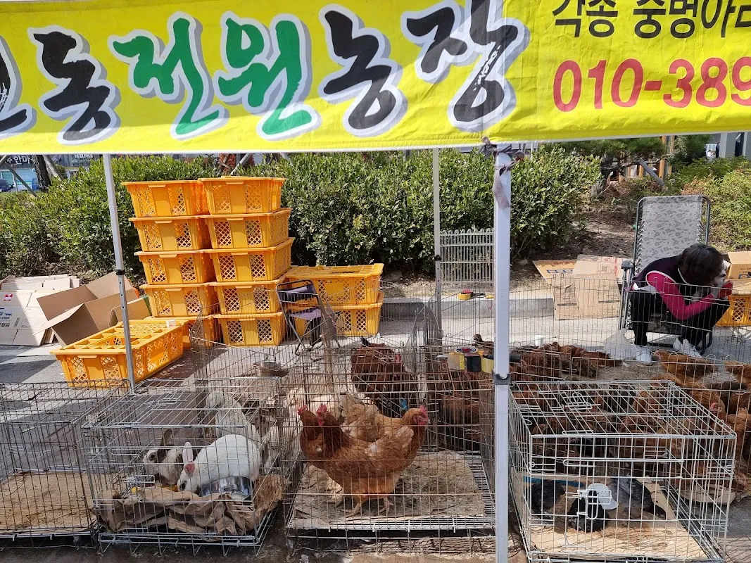 칠원공설시장 사진 5