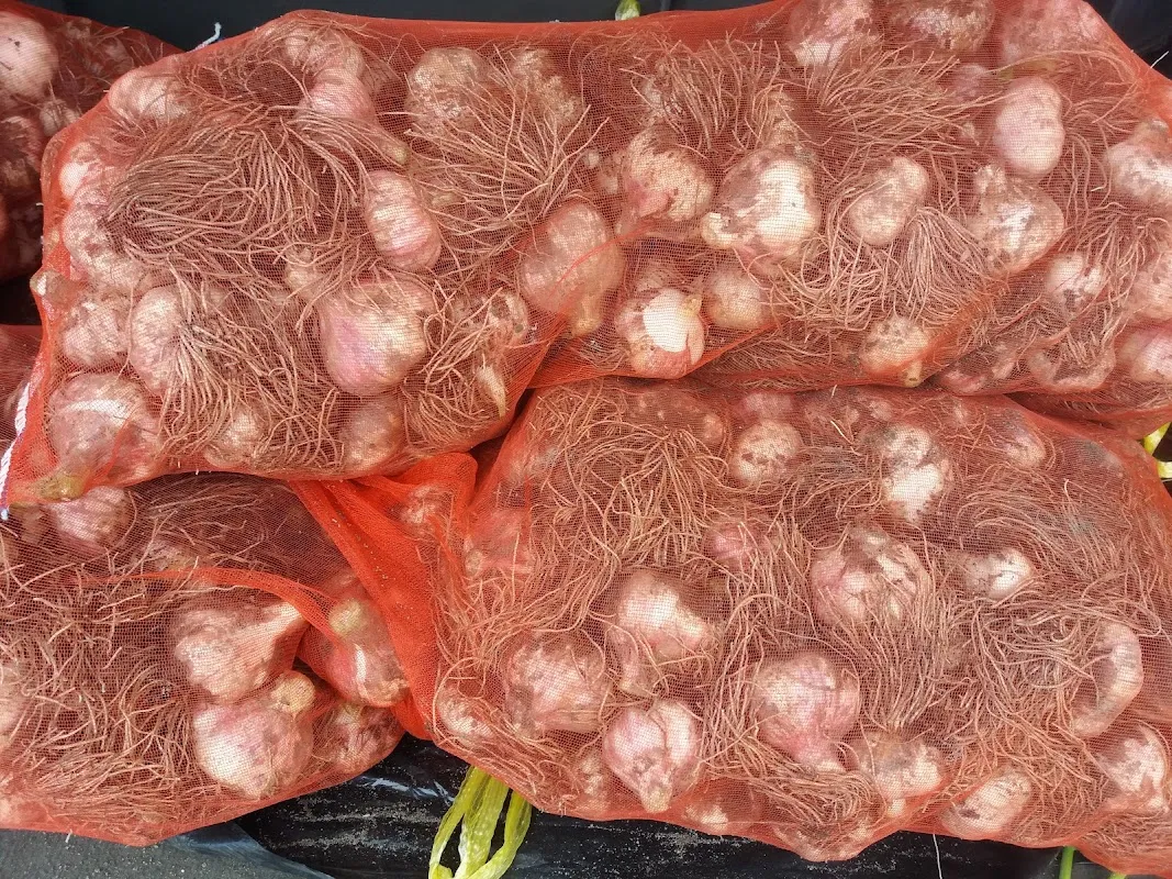 안의시장 사진 2