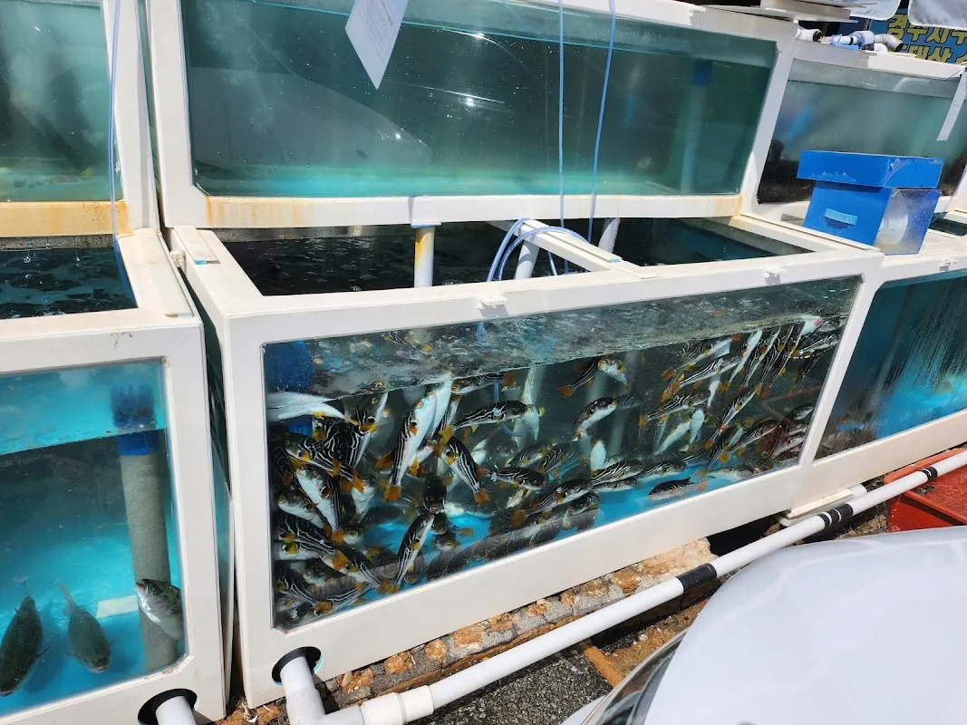 감포시장 사진 3