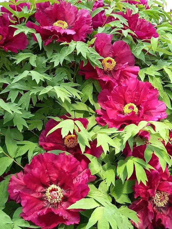 종합제일시장 사진 3