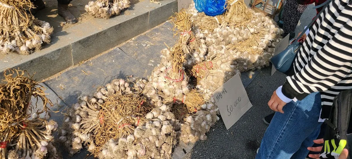 봉화상설시장 사진 5