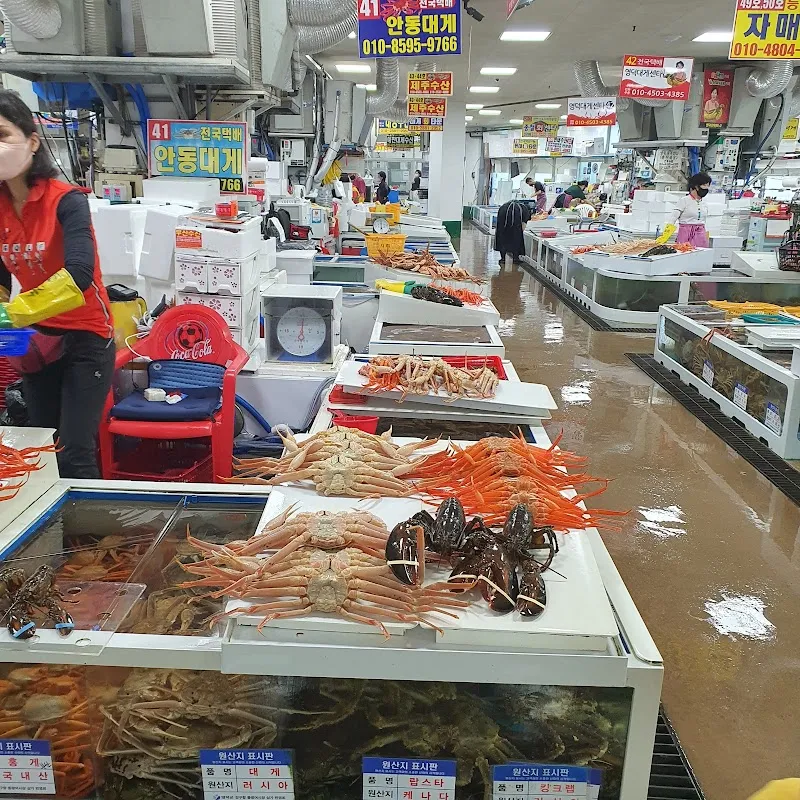 강구시장 사진 2