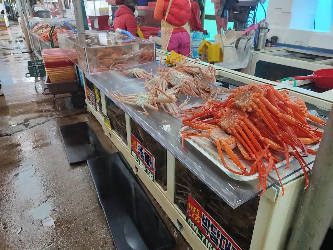 강구시장 사진 4