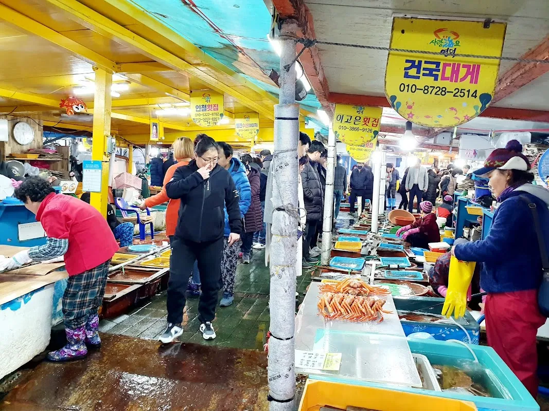 강구시장 사진 5