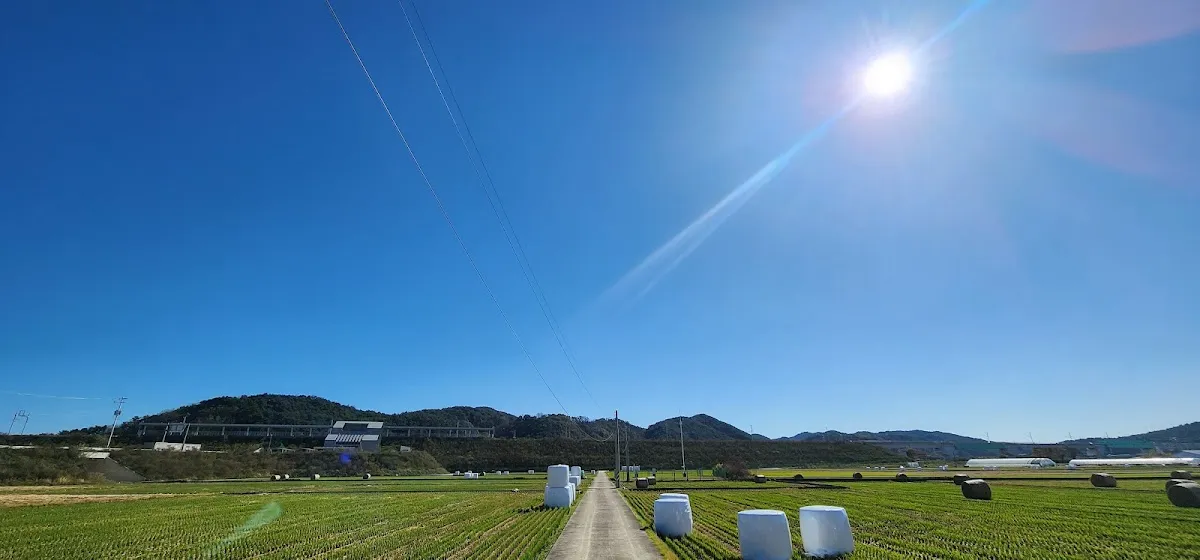 평해시장 사진 2