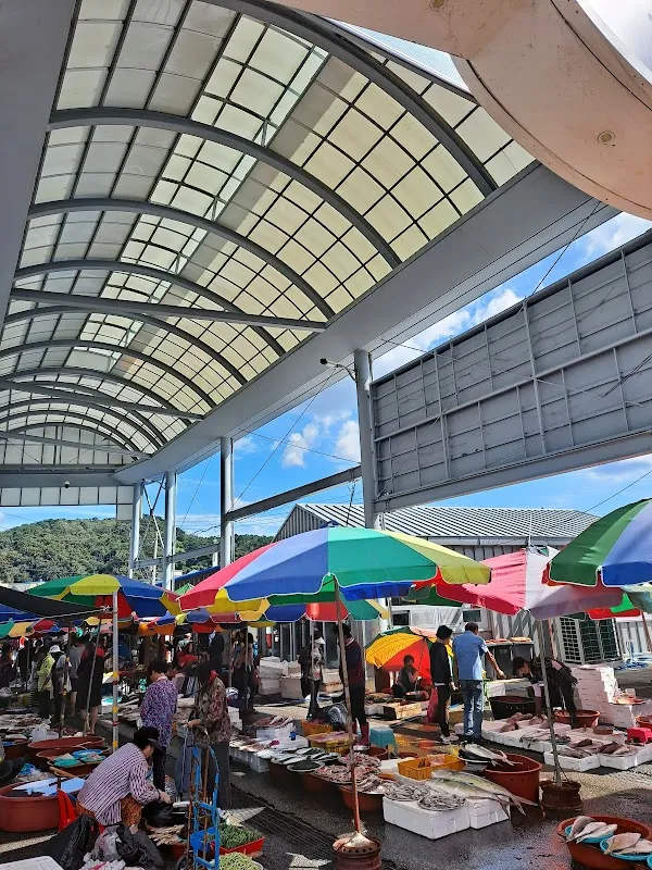 후포시장 사진 3