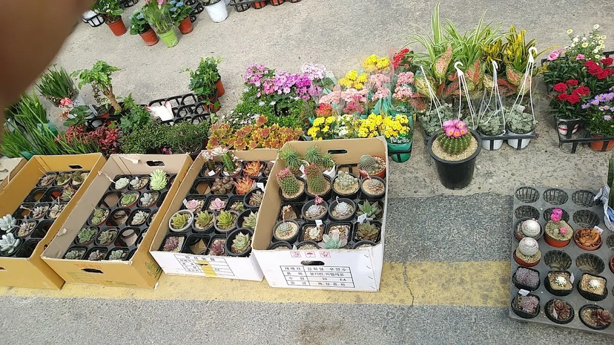 안계공설시장 사진 3