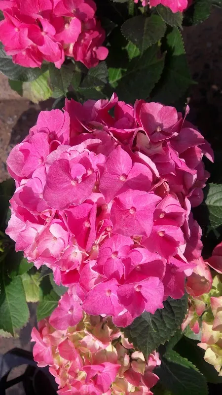 동곡공설시장 사진 3