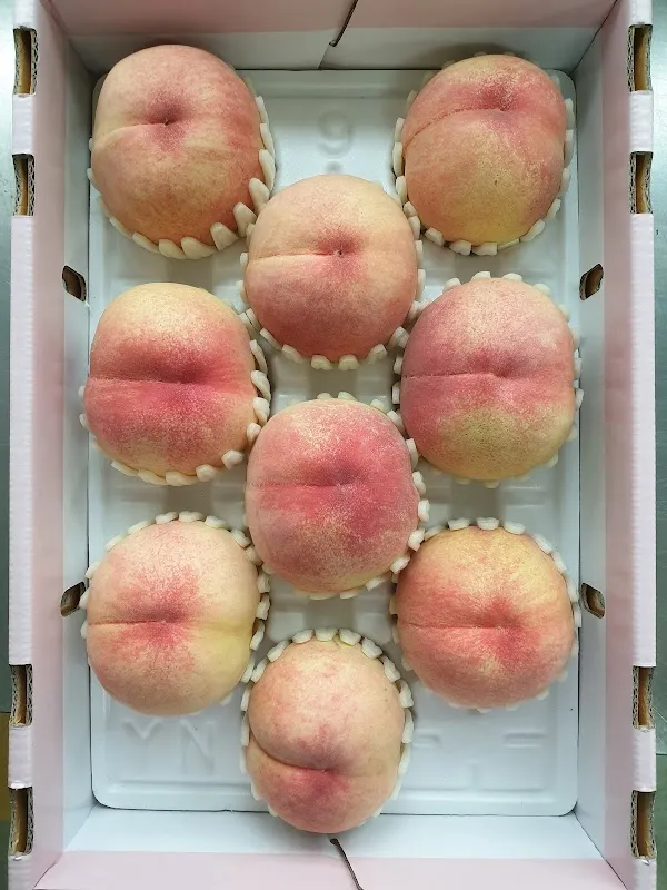 이서공설시장 전경