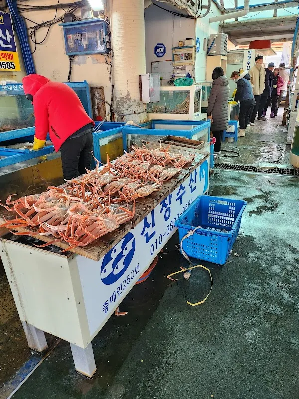 구룡포시장 사진 4