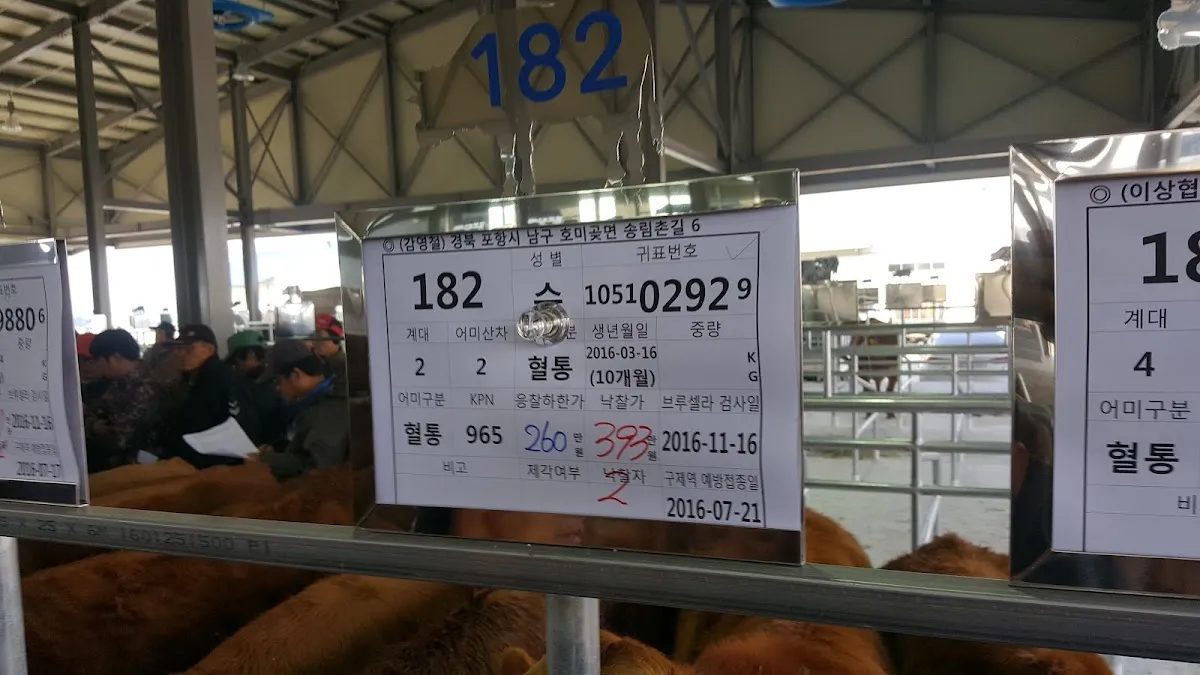 기계시장 사진 2